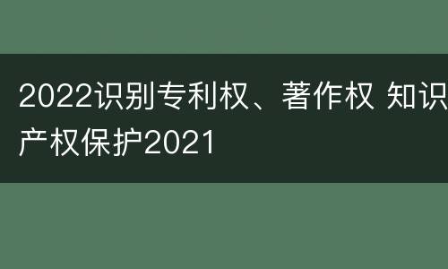 2022识别专利权、著作权 知识产权保护2021