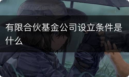 有限合伙基金公司设立条件是什么