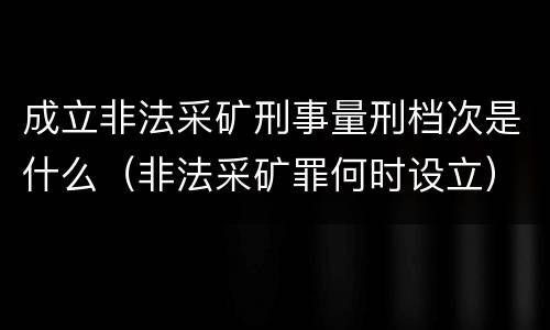 成立非法采矿刑事量刑档次是什么（非法采矿罪何时设立）