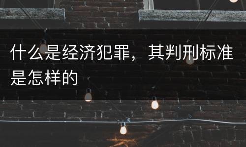 什么是经济犯罪，其判刑标准是怎样的