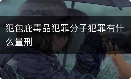 犯包庇毒品犯罪分子犯罪有什么量刑