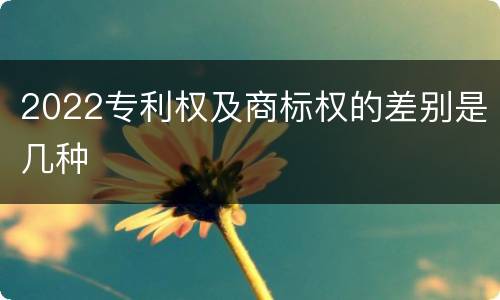2022专利权及商标权的差别是几种
