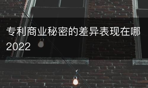 专利商业秘密的差异表现在哪2022