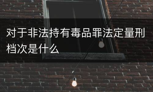 对于非法持有毒品罪法定量刑档次是什么