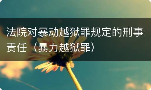法院对暴动越狱罪规定的刑事责任（暴力越狱罪）
