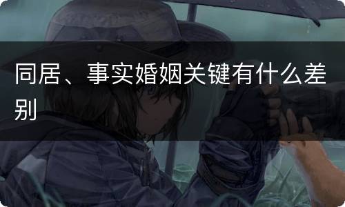 同居、事实婚姻关键有什么差别