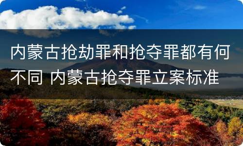内蒙古抢劫罪和抢夺罪都有何不同 内蒙古抢夺罪立案标准