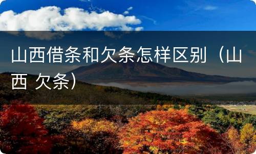山西借条和欠条怎样区别（山西 欠条）