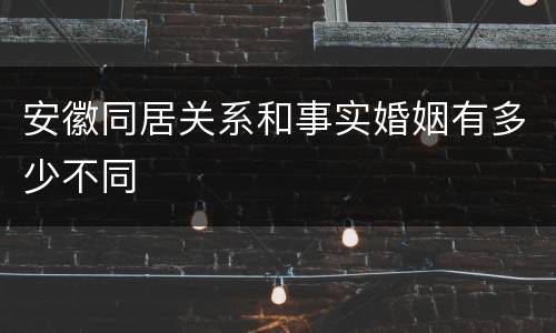 安徽同居关系和事实婚姻有多少不同