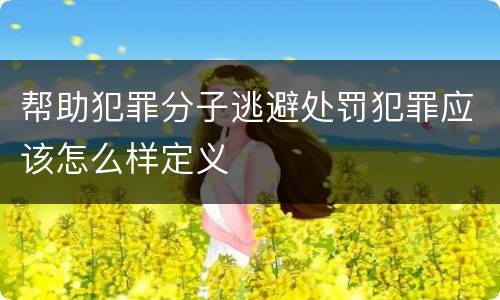 帮助犯罪分子逃避处罚犯罪应该怎么样定义