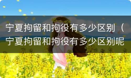 宁夏拘留和拘役有多少区别（宁夏拘留和拘役有多少区别呢）