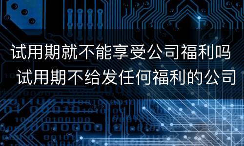 试用期就不能享受公司福利吗 试用期不给发任何福利的公司
