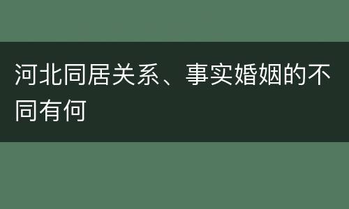 河北同居关系、事实婚姻的不同有何