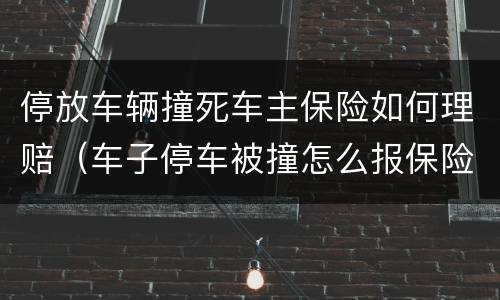 停放车辆撞死车主保险如何理赔（车子停车被撞怎么报保险）