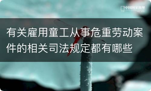 有关雇用童工从事危重劳动案件的相关司法规定都有哪些