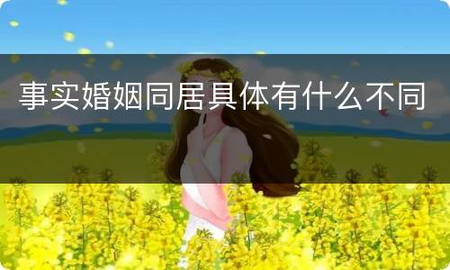 事实婚姻同居具体有什么不同
