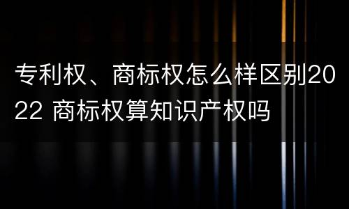 专利权、商标权怎么样区别2022 商标权算知识产权吗