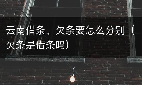 云南借条、欠条要怎么分别（欠条是借条吗）
