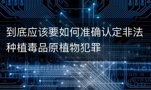 到底应该要如何准确认定非法种植毒品原植物犯罪