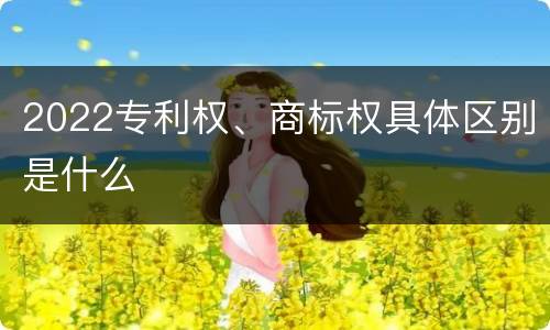 2022专利权、商标权具体区别是什么