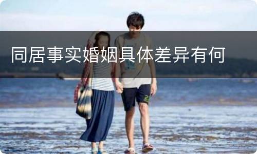 同居事实婚姻具体差异有何