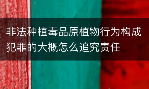 非法种植毒品原植物行为构成犯罪的大概怎么追究责任