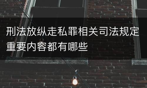刑法放纵走私罪相关司法规定重要内容都有哪些