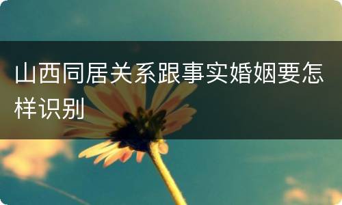 山西同居关系跟事实婚姻要怎样识别