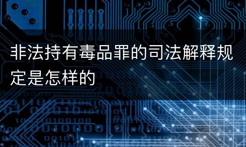 非法持有毒品罪的司法解释规定是怎样的
