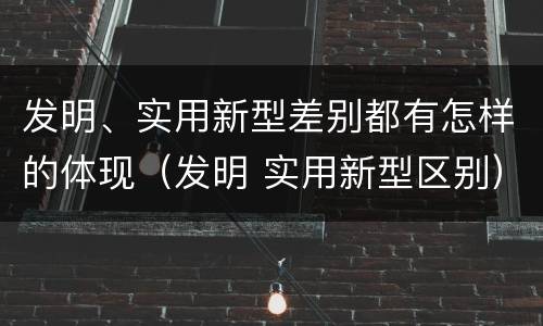 发明、实用新型差别都有怎样的体现（发明 实用新型区别）