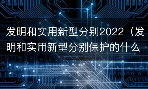 发明和实用新型分别2022（发明和实用新型分别保护的什么内容）