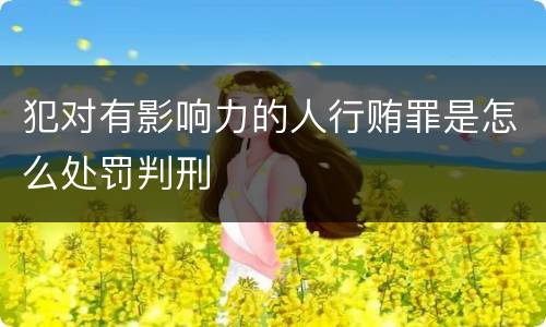 犯对有影响力的人行贿罪是怎么处罚判刑