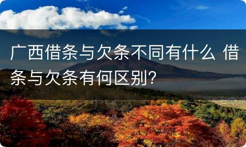 广西借条与欠条不同有什么 借条与欠条有何区别?