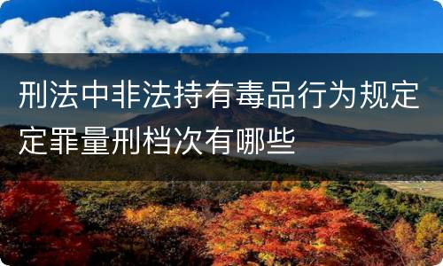 刑法中非法持有毒品行为规定定罪量刑档次有哪些