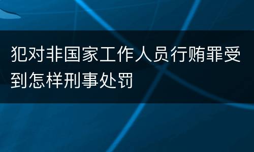 犯对非国家工作人员行贿罪受到怎样刑事处罚