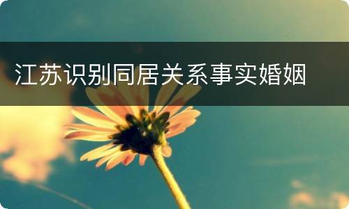 江苏识别同居关系事实婚姻