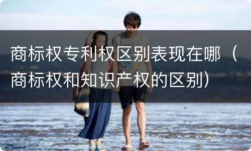 商标权专利权区别表现在哪（商标权和知识产权的区别）