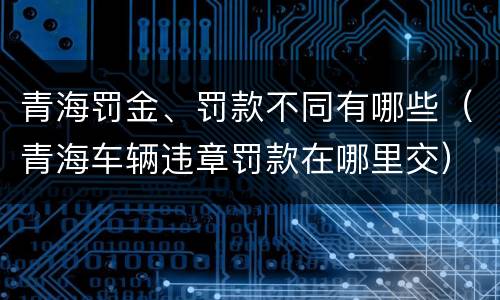 青海罚金、罚款不同有哪些（青海车辆违章罚款在哪里交）