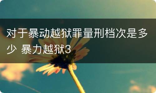 对于暴动越狱罪量刑档次是多少 暴力越狱3