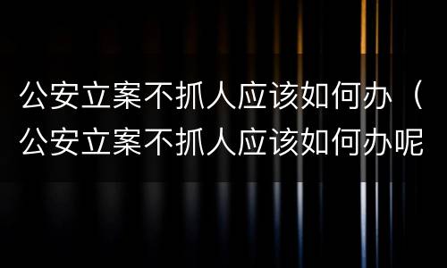 公安立案不抓人应该如何办（公安立案不抓人应该如何办呢）