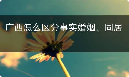 广西怎么区分事实婚姻、同居