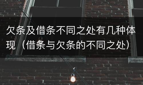 欠条及借条不同之处有几种体现（借条与欠条的不同之处）