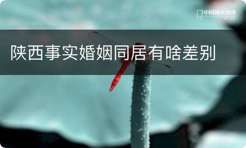 陕西事实婚姻同居有啥差别