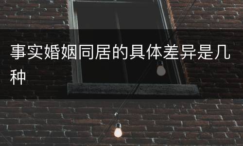 事实婚姻同居的具体差异是几种