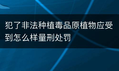 犯了非法种植毒品原植物应受到怎么样量刑处罚