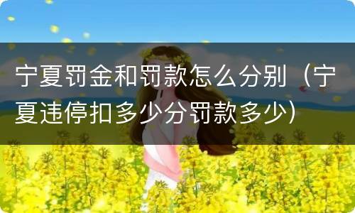 宁夏罚金和罚款怎么分别（宁夏违停扣多少分罚款多少）