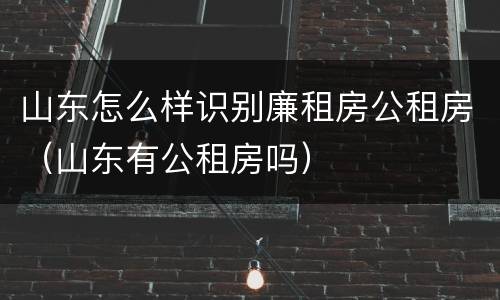 山东怎么样识别廉租房公租房（山东有公租房吗）