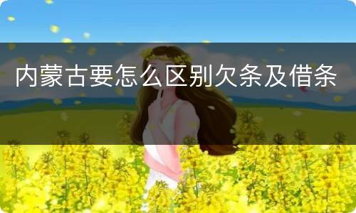 内蒙古要怎么区别欠条及借条