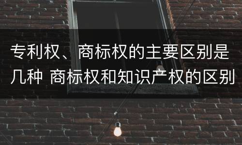 专利权、商标权的主要区别是几种 商标权和知识产权的区别