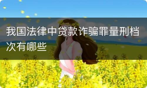 我国法律中贷款诈骗罪量刑档次有哪些